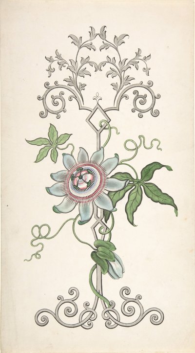 تصميم لتزيين الألواح مرتكز على زهرة الآلام ، 1828-40. بواسطة J هولمي