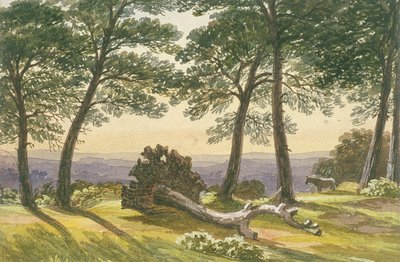هامبستيد هيث ، لندن ، c1830 بواسطة جي باول