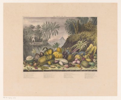 الفواكه الجاوية Les Fruits de Java (العنوان على الكائن) بواسطة الملكية الهولندية Steendrukkerij van CW Mieling