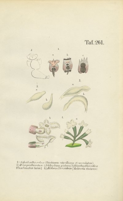  بواسطة 