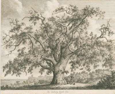 توتبيري - "Wych Elm": النقش ، بدون تاريخ [c 1820] بواسطة يعقوب جورج سترات