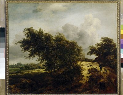 لو بويسون (بوش) ، ج. 1647 (زيت على قماش) بواسطة جاكوب فان روزديل