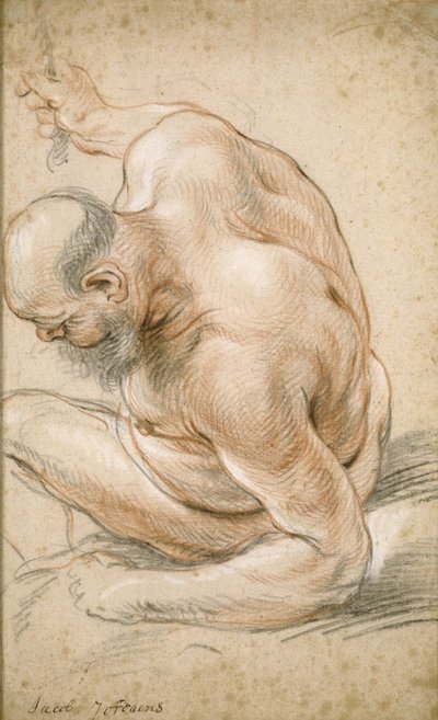 رجل عجوز عاري جالس ، متكئًا على ساعده ، يواجه اليسار ، c.1640 بواسطة يعقوب جوردان