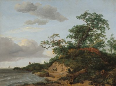 كثبان البحر ، 1648. بواسطة جاكوب فان روزديل