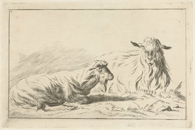 اثنان من الماعز الكاذبة بواسطة Jacobus Cornelis Gaal