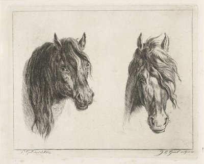 رأسان حصان بواسطة Jacobus Cornelis Gaal