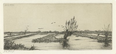 مستنقع قديم بواسطة جاكوبس لودوفيكوس كورنيت