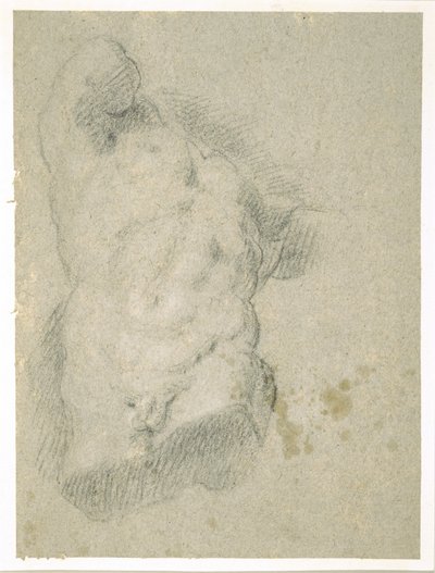 رسم جذع ذكر (فحم على ورق أزرق) بواسطة جاكوبو باسانو