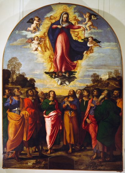Assumption of Virgin بواسطة جاكوبو (1480-1528) بالما