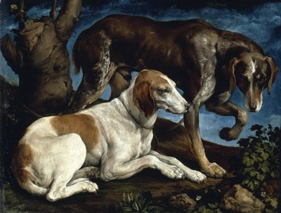 كلبا صيد ، 1548-1549. بواسطة Jacopo Bassano il vecchio
