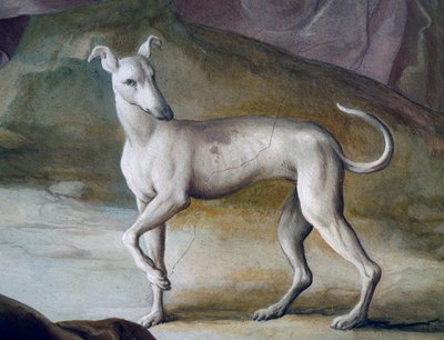 Dog, detail from fresco by Jacopo Guarana (1720-1808), central hall of Villa Contarini, Valnogaredo, Veneto, Italy بواسطة جاكوبو غوارانا