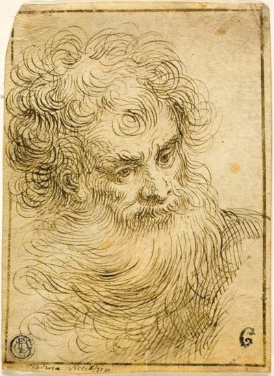 رأس الرجل العجوز الملتحي (وجه) ؛ رسم تخطيطي للزهور والأوراق (ظهر) بواسطة Jacopo Palma il Giovane