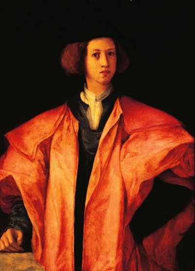 صورة لشاب ، ربما Amerigo Antinori ، حوالي 1530 ، بواسطة Jacopo Carucci ، المعروف باسم Pontormo (1494-1557) ، زيت على لوحة بواسطة جاكوبو بونتورمو