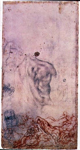 دراسة لصورة شخصية Cosimo I Giovinetto مع دراسات أخرى حول الأجسام المتلألئة (طباشير أسود وأحمر على ورق) بواسطة جاكوبو بونتورمو
