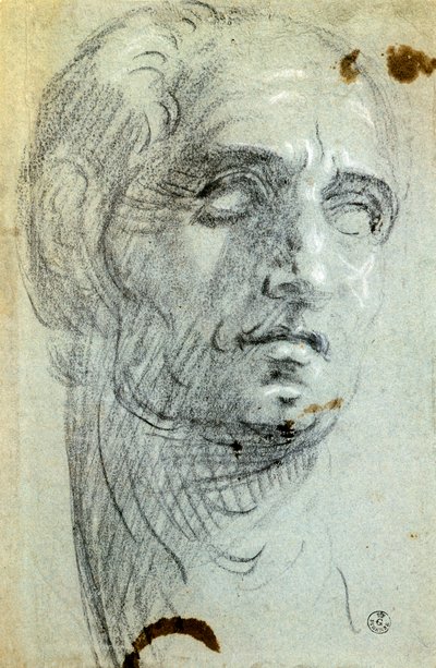 رأس ذكر لجاكوبو روبوستي المعروف باسم تينتوريتو (1518-1594) ، رسم بواسطة جاكوبو روبوستي تينتوريتو