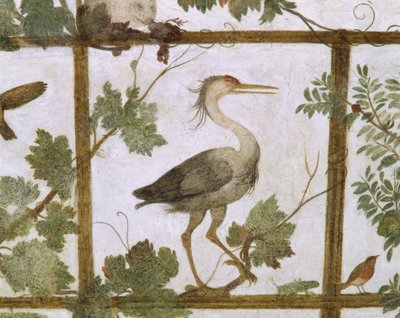 إيبيس ، من لوحة جدارية لقفص في فيلا ميديشي ، c.1576-77 بواسطة جاكوبو كوسة