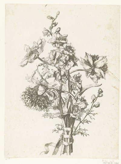 باقة من شقائق النعمان والصفير والدلفينيوم Diverses Fleurs mises en Boucquets (عنوان السلسلة) بواسطة جاك بيلي (أنا)