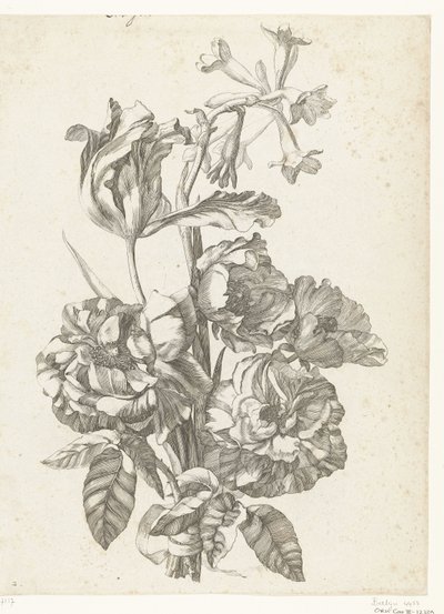 باقة من الفاونيا والزنبق والبروديا Diverses Fleurs mises en Boucquets (عنوان السلسلة) بواسطة جاك بيلي (أنا)