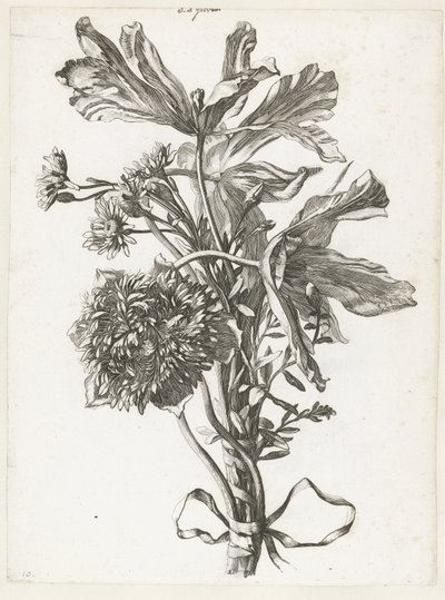 باقة من زهور الأقحوان الباهتة وشقائق النعمان والخلود Diverses Fleurs mises en Boucquets (عنوان السلسلة) بواسطة جاك بيلي (أنا)