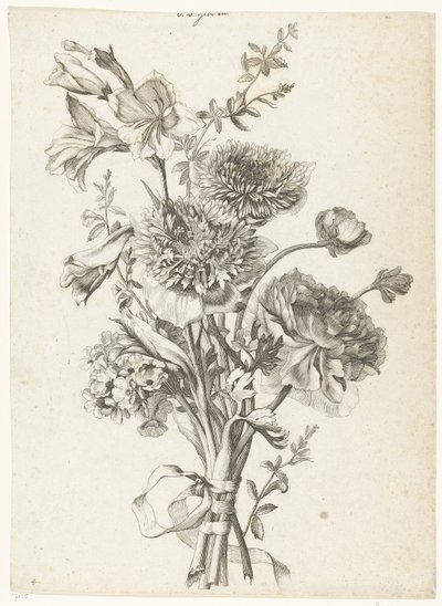 باقة شقائق النعمان باقة من شقائق النعمان والفاوانيا وزهرة الربيع والسعداء Diverses Fleurs mises en Boucquets (عنوان السلسلة) بواسطة جاك بيلي (أنا)