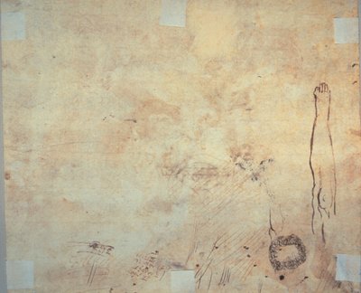 دراسة ساق وتزدهر ورسومات الشعار المبتكرة بواسطة جاك بيلانج