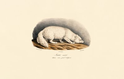  بواسطة 