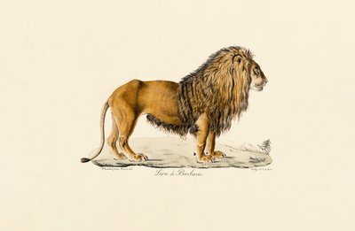  بواسطة 