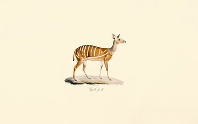  بواسطة 