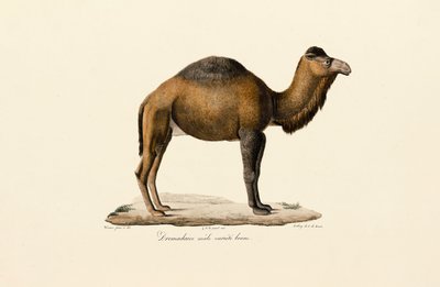  بواسطة 