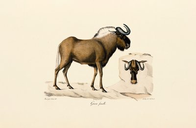  بواسطة 