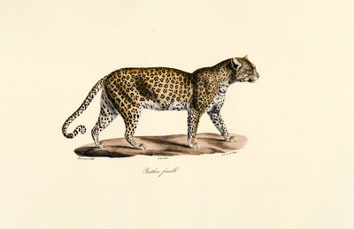  بواسطة 