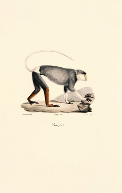  بواسطة 