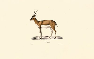  بواسطة 