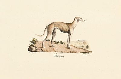  بواسطة 