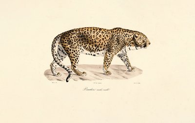  بواسطة 