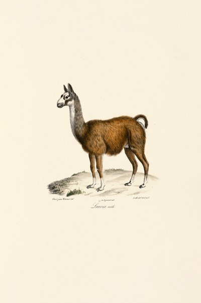  بواسطة 