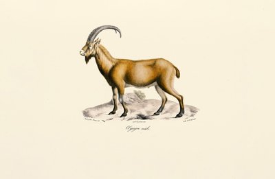  بواسطة 