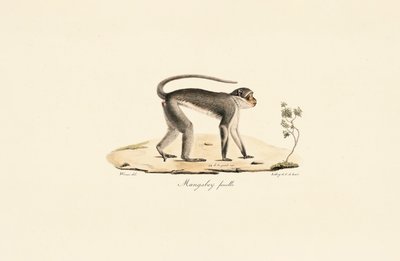  بواسطة 