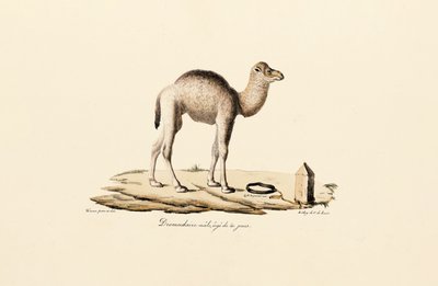  بواسطة 