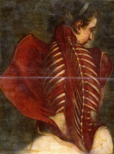 الملاك الفاسد ، ج .1745 بواسطة Jacques Fabien Gautier dAgoty