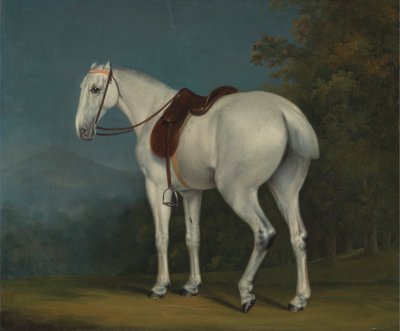 سيدة جراي هانتر بواسطة Jacques Laurent Agasse