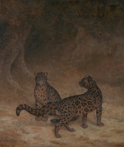 النمور الملبدة بالغيوم بواسطة Jacques Laurent Agasse