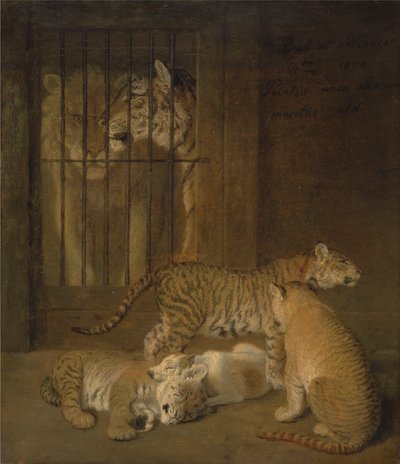 مجموعة من الجُلب تربى بين أسد ونمرة بواسطة Jacques Laurent Agasse