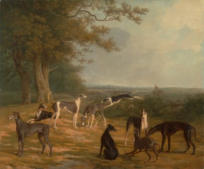 تسعة كلاب سلوقية في منظر طبيعي بواسطة Jacques Laurent Agasse