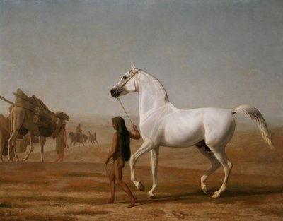 ويليسلي غراي عربي يقود عبر الصحراء بواسطة Jacques Laurent Agasse
