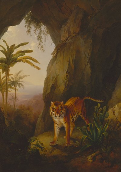 نمر في كهف بواسطة Jacques Laurent Agasse