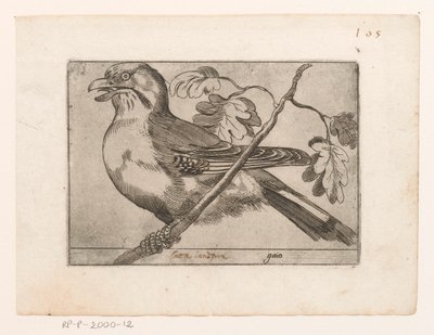 Gaai Gaio (العنوان على الكائن) Vogels (عنوان المسلسل) بواسطة مونوجراميست AG