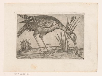 فوجل Tartena (العنوان على الكائن) Vogels (عنوان المسلسل) بواسطة مونوجراميست AG