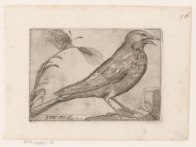 زرزور (Sturnus vulgaris) الإلغاء (العنوان على الكائن) الطيور (عنوان السلسلة) بواسطة جاك دي فورنازيريس