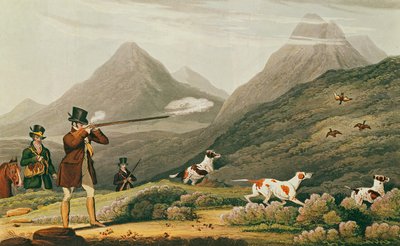 صيد الطيهوج (نقش بالألوان) بواسطة جيمس (بعد) بولارد